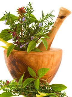 hypnotherapy in somerset